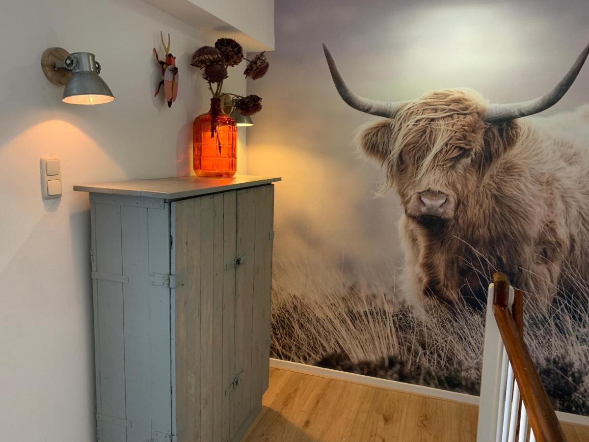 Kust Appartement Egmond aan Zee Bagian luar foto